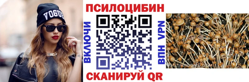 где купить наркоту  Азнакаево  Псилоцибиновые грибы прущие грибы 